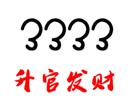 泰安移动手机尾号3333好不好