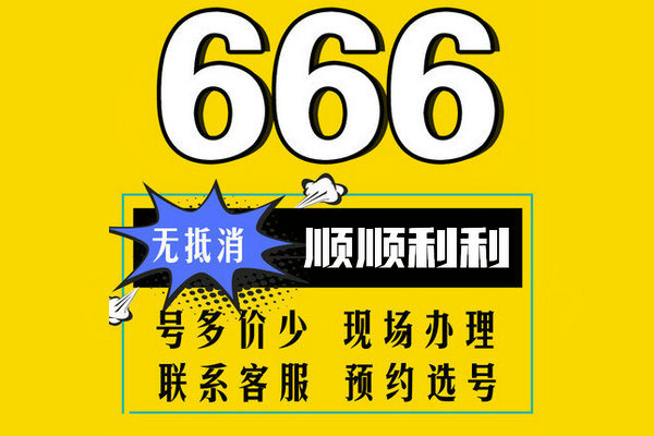 定陶137号段手机尾号666吉祥号出售