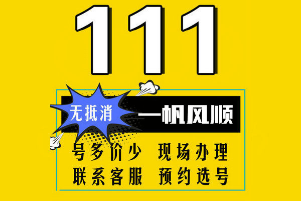 济南111吉祥号回收